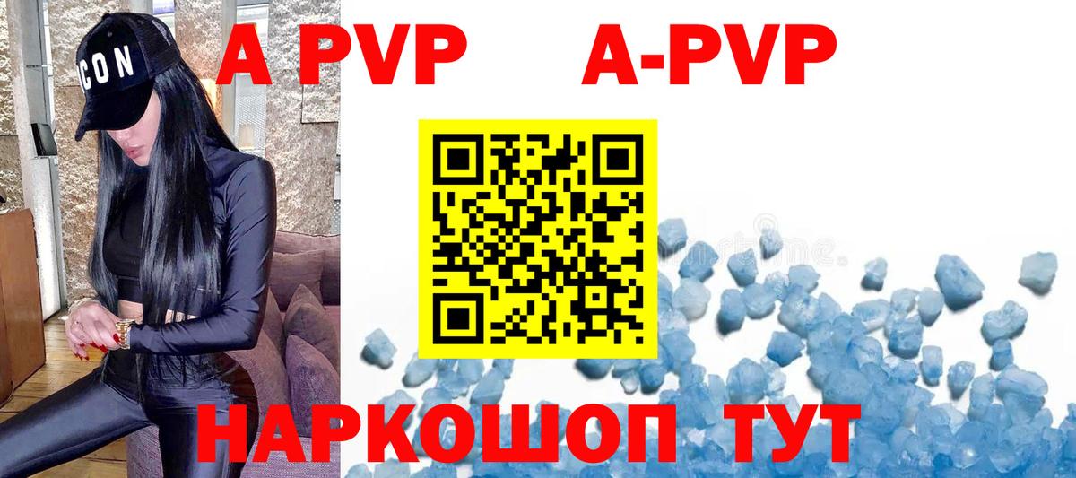 Альфа ПВП СК Санкт-Петербург