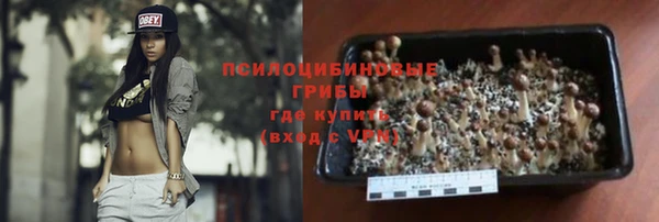 дживик Алексин