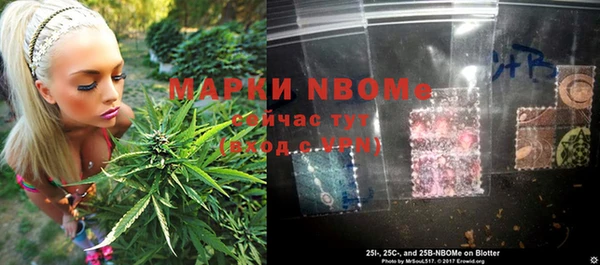 эйфоретик Алзамай