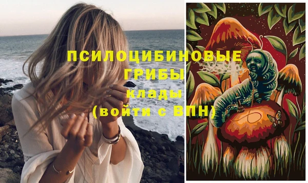 эйфоретик Алзамай