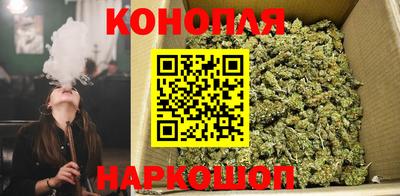 ГАЛЛЮЦИНОГЕННЫЕ ГРИБЫ Нальчик