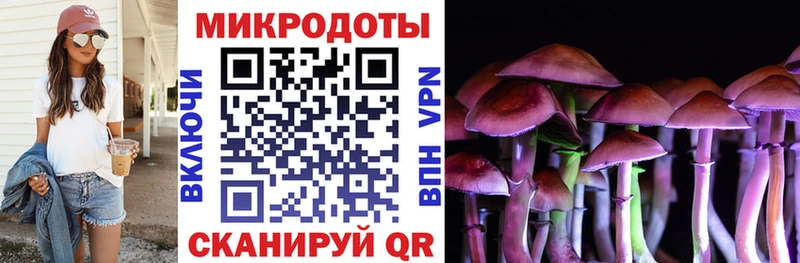 Галлюциногенные грибы GOLDEN TEACHER  где купить   Санкт-Петербург 