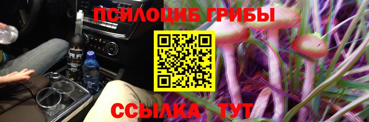 Галлюциногенные грибы MAGIC MUSHROOMS Санкт-Петербург
