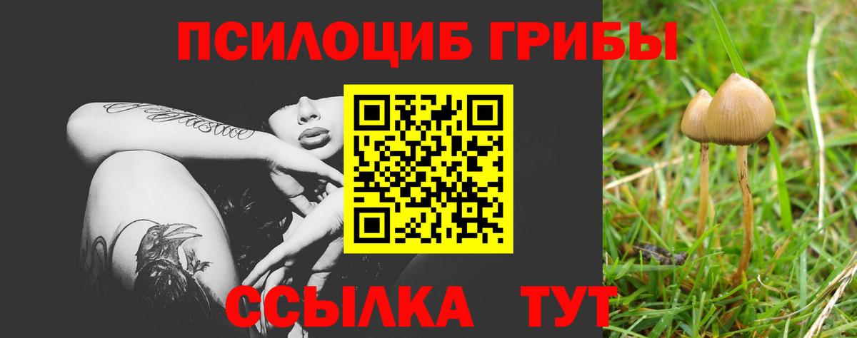 Санкт-Петербург  Галлюциногенные грибы Magic Shrooms  Вход с VPN 